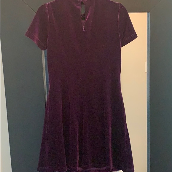 Purple Velvet - Picture 8 of 10